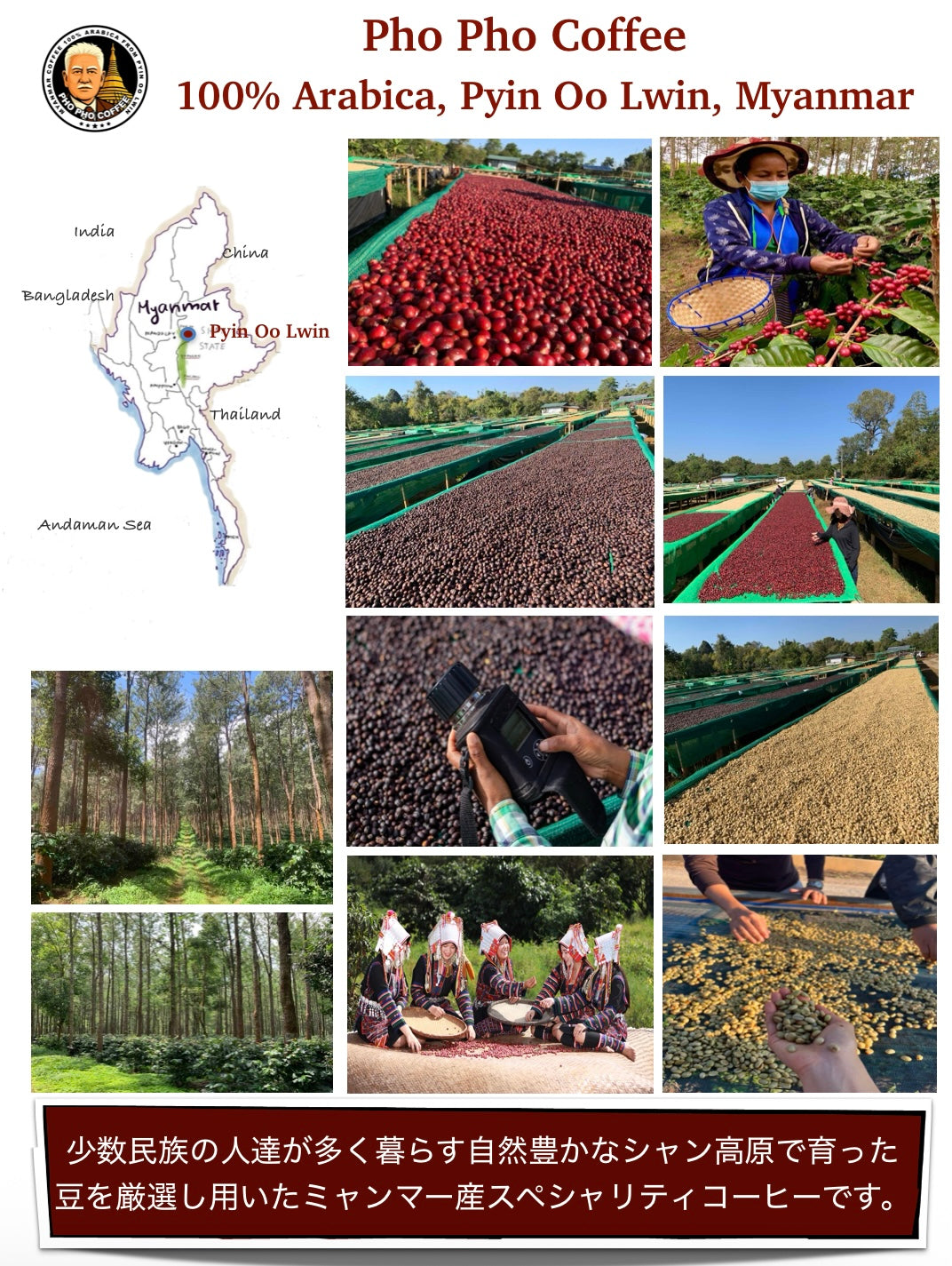 Pho Pho Original Coffee 100g